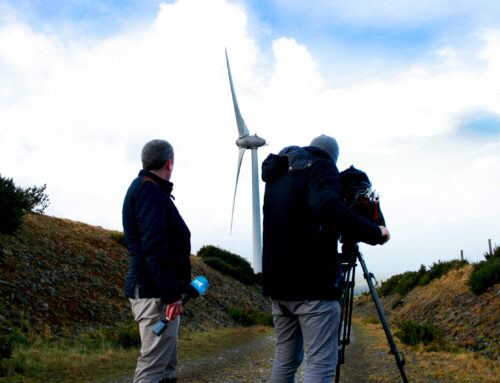 Our 800th Member: Community Power, Ireland’s First Community-Owned Electricity Supplier